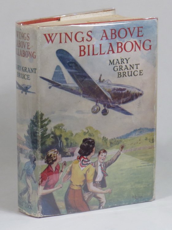 Wings Above Billabong