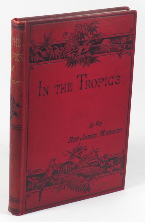 In the Tropics - Scenes and Incidents of West Indian Life
