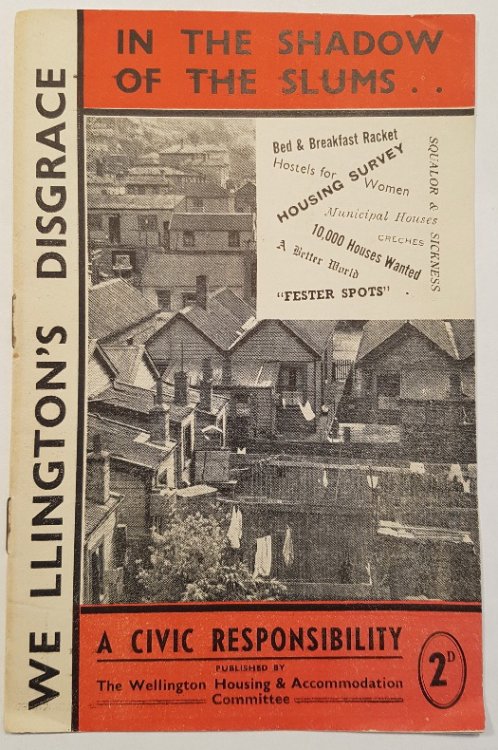 In the Shadow of the Slums. . . A Civic Responsibility - Wellington's Disgrace