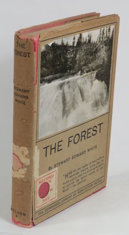 The Forest