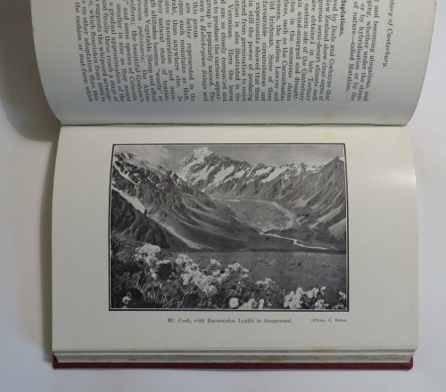 Natural History of Canterbury - Issued by the Philosophic Institute of Canterbury - A Series of Articles on the Early History of the Province and on the History of Scientific Investigation, up till 1925, as well as on some Results of this Investigation