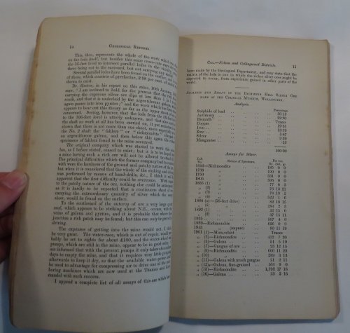 Reports of Geological Explorations During 1881, with Maps and Sections