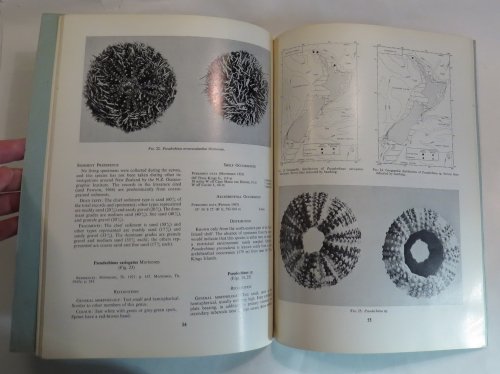 An Outline Distribution of the New Zealand Shelf Fauna - Benthos Survey, Station List, and Distribution of the Echinoidea [New Zealand DSIR - New Zealand Oceanographic Institute - Memoir No. 47]