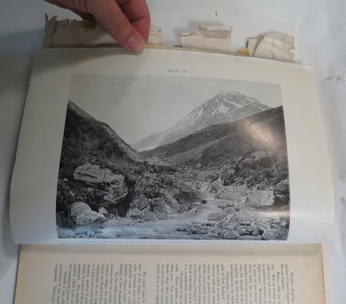 The Geology of the Mikonui Subdivision, North Westland. [Department of Mines - New Zealand Geological Survey - Bulletin No. 20 (New Series)]