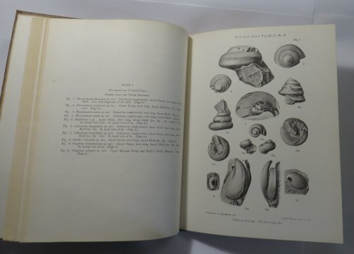Lists of New Zealand Tertiary Mollusca; The Upper Cretaceous Gastropods of New Zealand; The Fossil Cirripedes of New Zealand [New Zealand Department of Mines. Geological Survey Branch. Palaeontological Bulletins, Nos. 8, 9, & 10] [Paleontological]