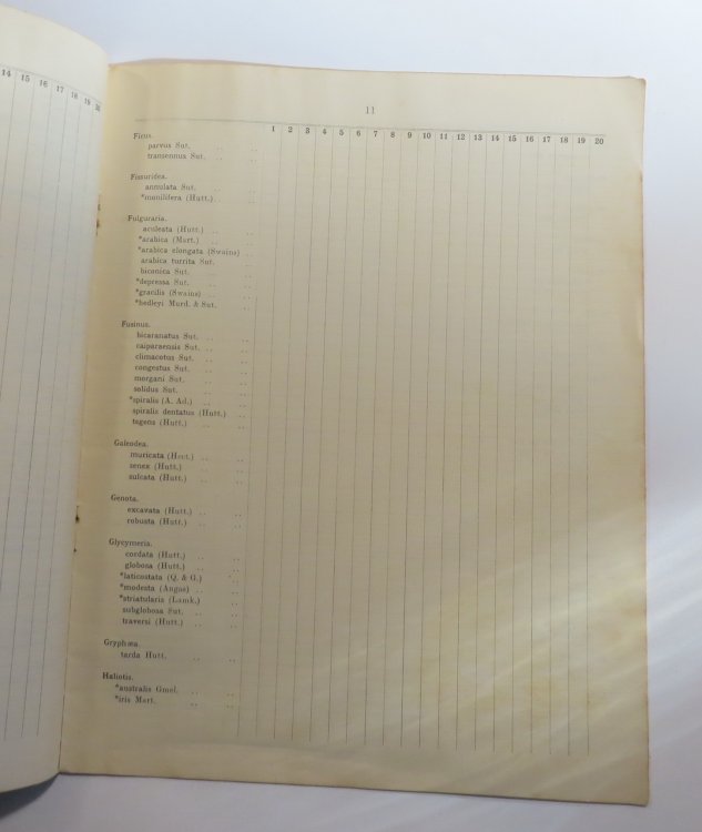 Alphabetical Hand-List of New Zealand Tertiary Mollusca