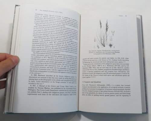 New Zealand's Economic Native Plants