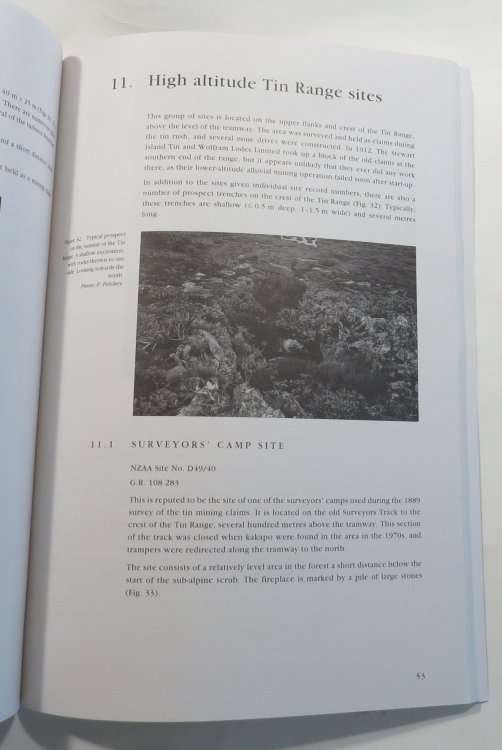 Pegasus Tin - Archaeological Survey of the Pegasus Tin Field, Southern Stewart Island / Rakiura