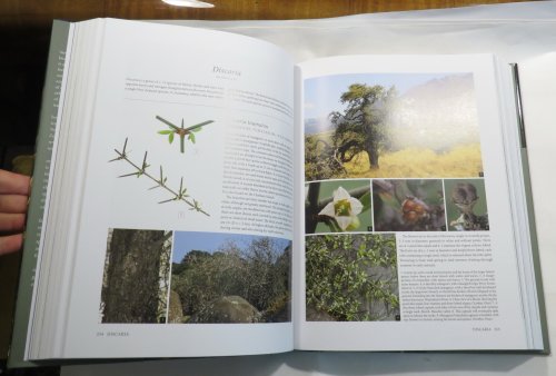 New Zealand's Native Trees