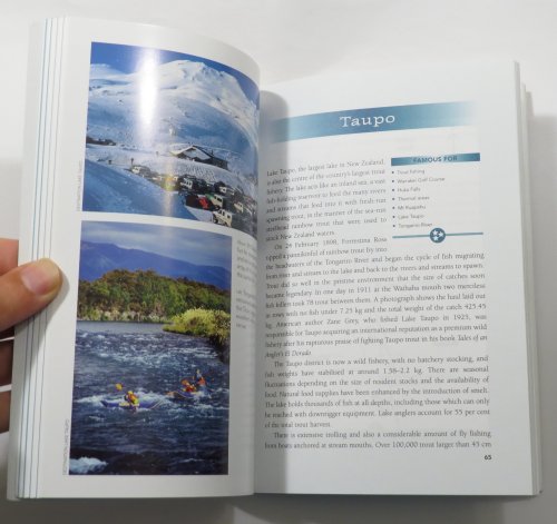 Weekends for Trout Fishing in New Zealand