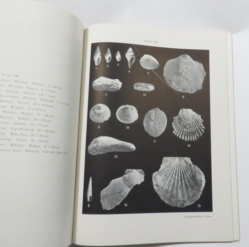 Descriptions of New Tertiary Mollusca Occuring in New Zealand, Accompanied by A Few Necessary Changes in Nomenclature. Part I [New Zealand Department of Mines. New Zealand Geological Survey. Palaeontological Bulletin, No. 5] [Paleontological]