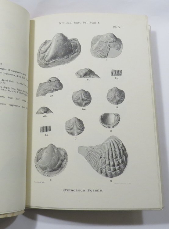 The Cretaceous Faunas of the North-Eastern Part of the South Island of New Zealand [New Zealand Department of Mines. New Zealand Geological Survey. Palaeontological Bulletin No. 4] [Paleontological]