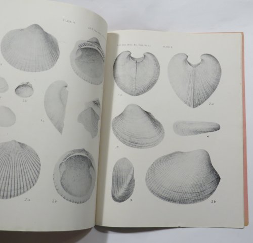 Revision of the Tertiary Mollusca of New Zealand, Based on Type Material. Part I [New Zealand Department of Mines. Geological Survey Branch. Palaeontological Bulletins, No. 2] [Paleontological]