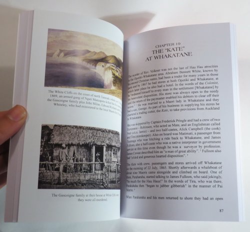 Blood and Tears : A Memorial To Those Killed By Tribal And Related Violence : The Great Untold Story Of New Zealand