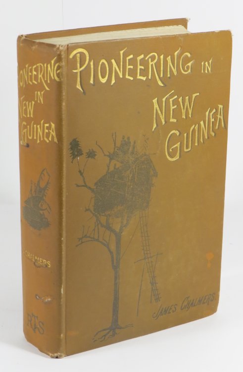 Pioneering in New Guinea