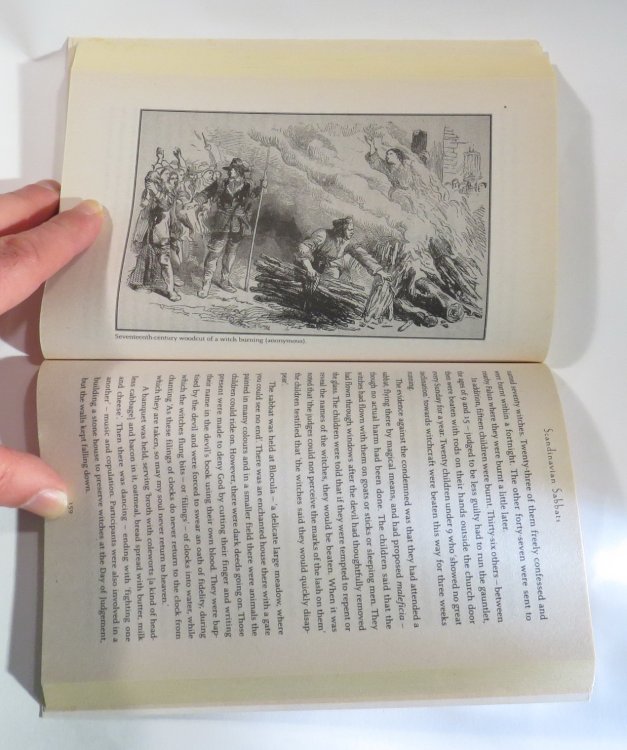 Witch Hunt : History of a Persecution