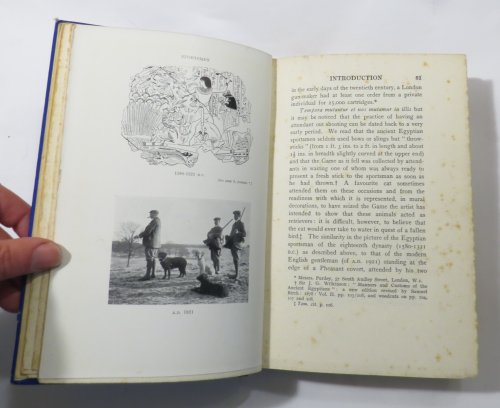 Record Bags and Shooting Records : Together with Some Account of the Evolution of the Sporting-Gun, Marksmanship and the Speed and Weight of Birds