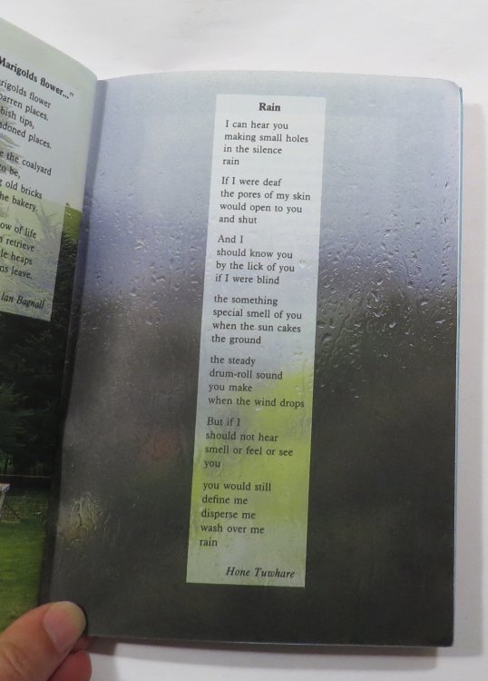School Journal Part 3 Number 3 1989 :The Sleepy Giant & Other Poems