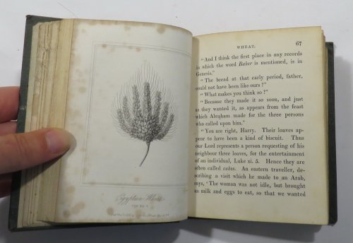 Bible Illustrations; or, A Description of Manners and Customs Peculiar to the East, Especially Explanatory of the Holy Scriptures
