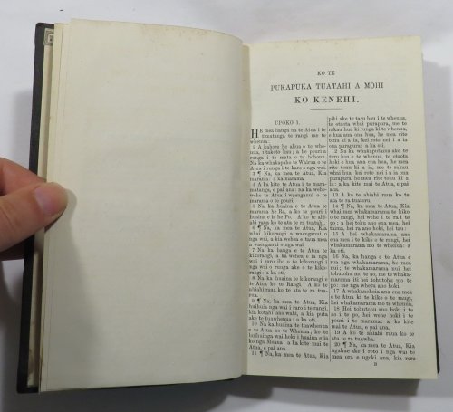 Ko Te Tahi Wahi O Te Kawenata Tawhito [Maori Bible - Genesis to Joshua]