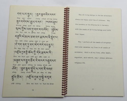 The Aspiration of Samantabhadra