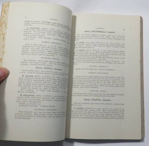 Manual of the New Zealand Mollusca : A Systematic and Descriptive Catalogue of the Marine and Land Shells, and of the Soft Mollusks and Polyzoa of New Zealand and the Adjacent Islands