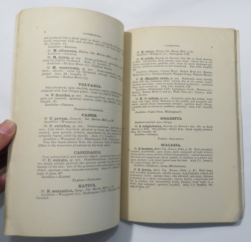 Catalogue of the Tertiary Mollusca and Echinodermata of New Zealand, in the Collection of the Colonial Museum