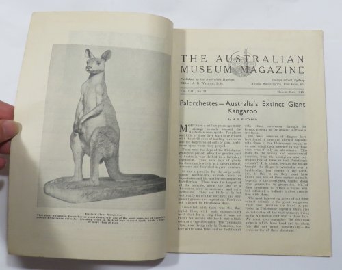 The Australian Museum Magazine - Vol. XI. No. 11 March-May 1945