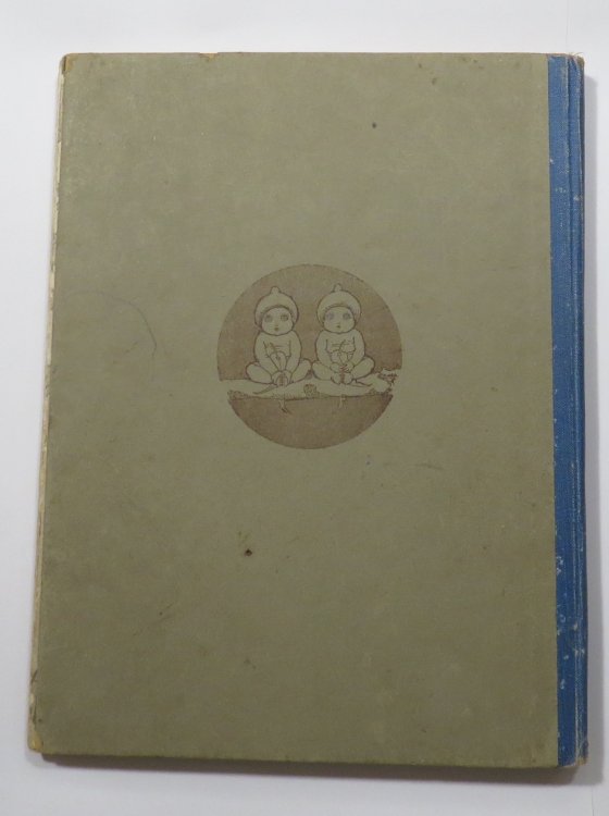 Snugglepot and Cuddlepie : Their Adventures Wonderful