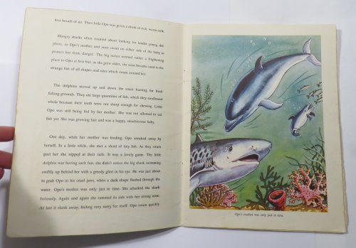 Opo : The Gay Dolphin