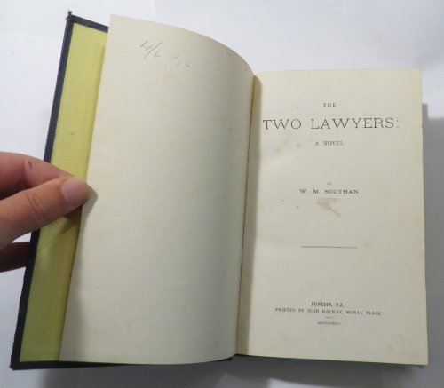 The Two Lawyers: A Novel