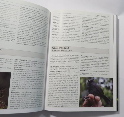 Birds New To Science : Fifty Years of Avian Discoveries