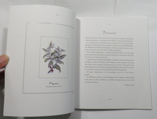 Te Rongoa Maori : Maori Medicine