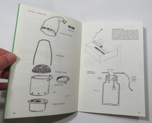 New Zealand Geckos : A Guide to Captive Maintenance and Breeding