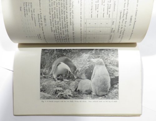 A Study of a Group of Penguins of Known Age