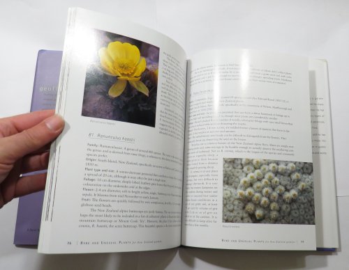 Rare and Unusual Plants for New Zealand Gardens