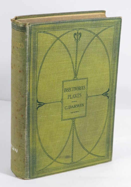 Insectivorous Plants