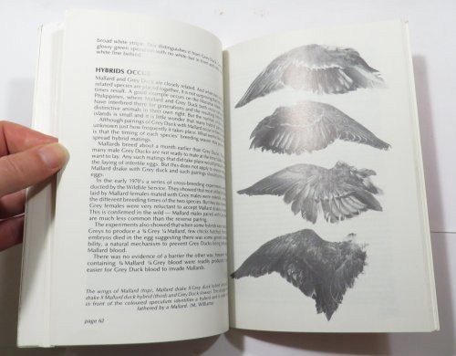 The Duckshooter's Bag : An Understanding of New Zealand's Wetland Gamebirds