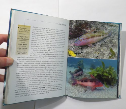 Know Your New Zealand . . . Fishes