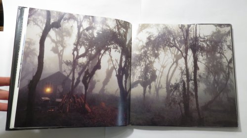 No One Loved Gorillas More : Dian Fossey : Letters from the Mist
