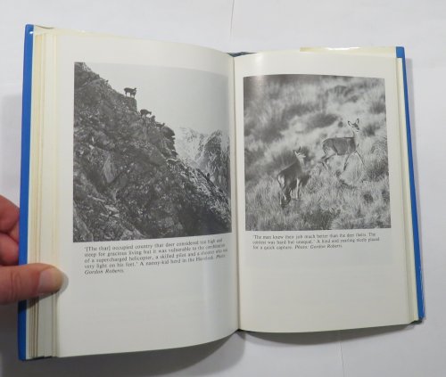 The Deer Wars : The Story of Deer in New Zealand
