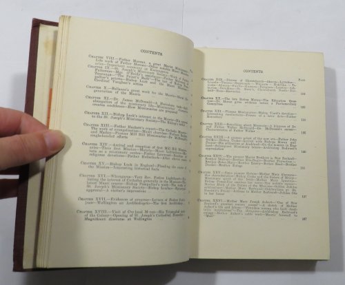 The Church In New Zealand (Volume II): In The Path Of The Pioneers