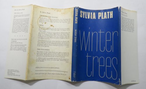 Winter Trees