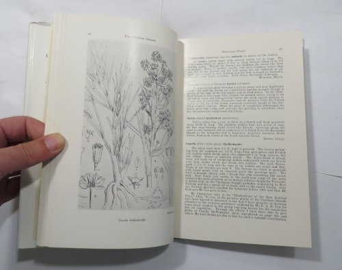 The Chatham Islands - Their Plants, Birds and People