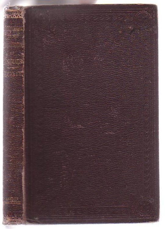 An Introduction to the Classification of Animals