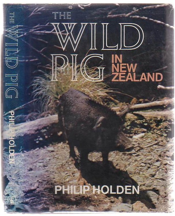 The Wild Pig In New Zealand