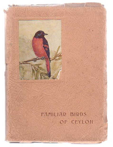 Familiar Birds Of Ceylon