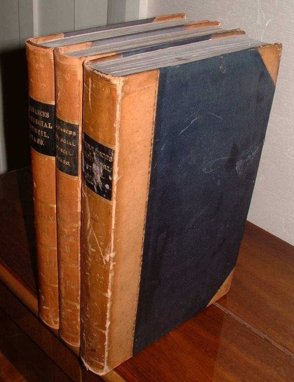 Ordinances Of The Provincial Council Of Otago (Volumes 1-21, bound in Three Volumes)