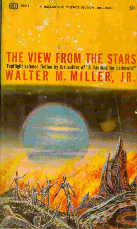 The View from the Stars