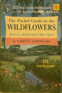 The Pocket Guide to the Wildflowers - How to Identify and Enjoy Them